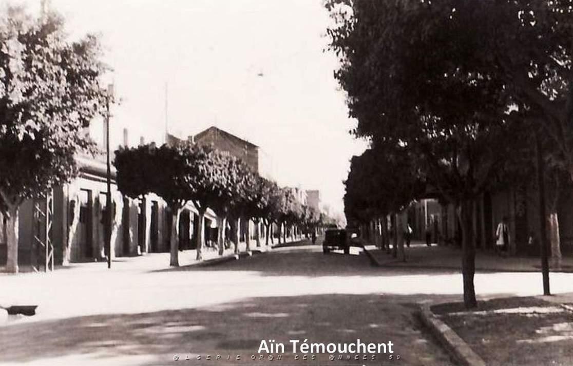 Ain Temouchent 212.jpg